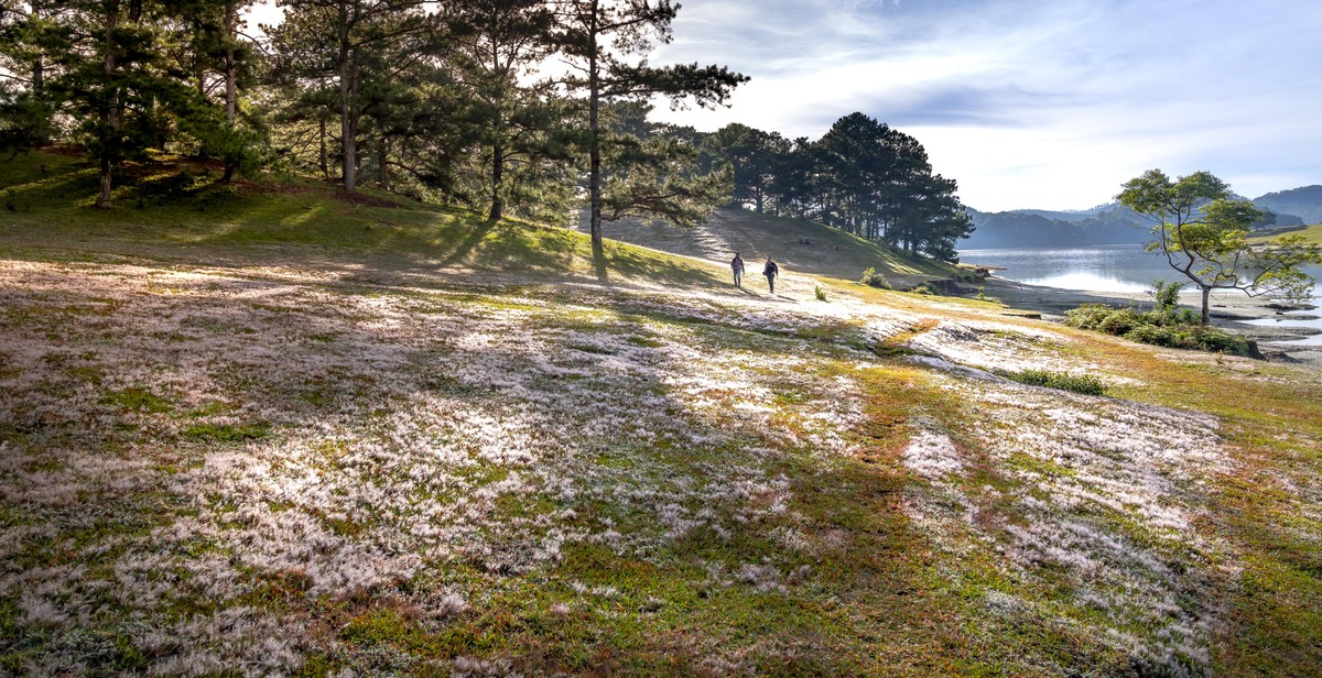 couple walking in nature